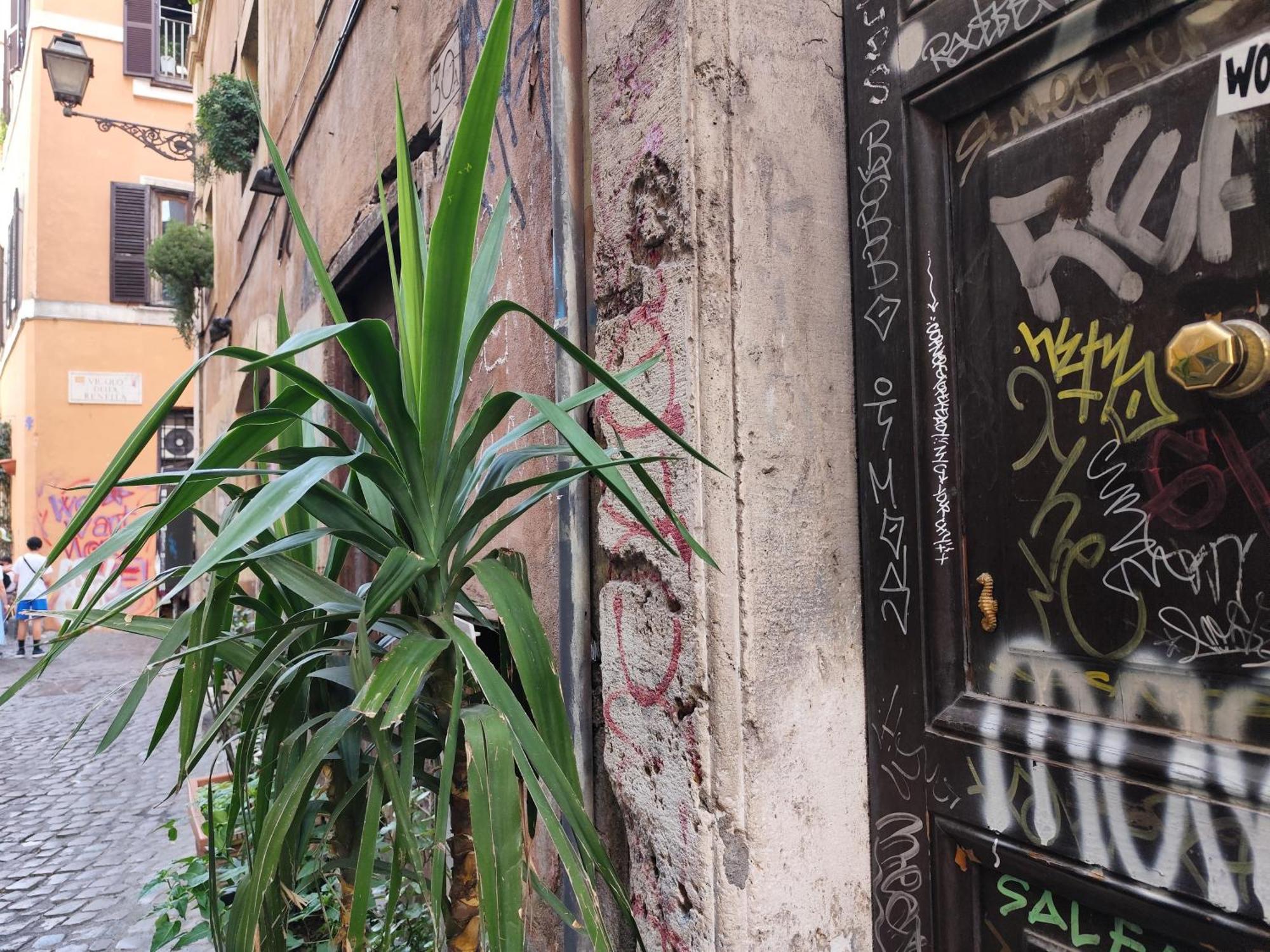 Casa Ludovica Trastevere Roma Ngoại thất bức ảnh